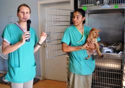 Gretchen Sherrill (left) and Stephany DeJesus shows off a puppy up for adoption. Gretchen Sherrill (left) and Stephany DeJesus shows off a puppy up for adoption.